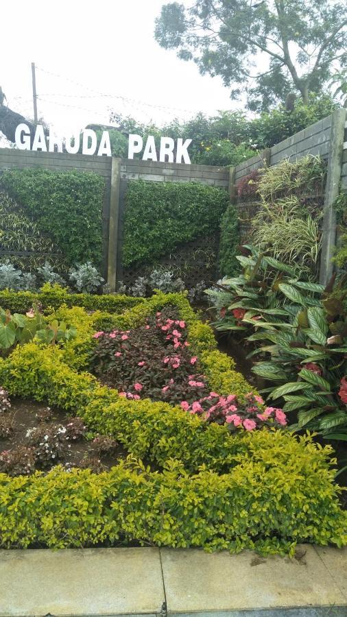 Garuda Park Resort Kotagiri Δωμάτιο φωτογραφία